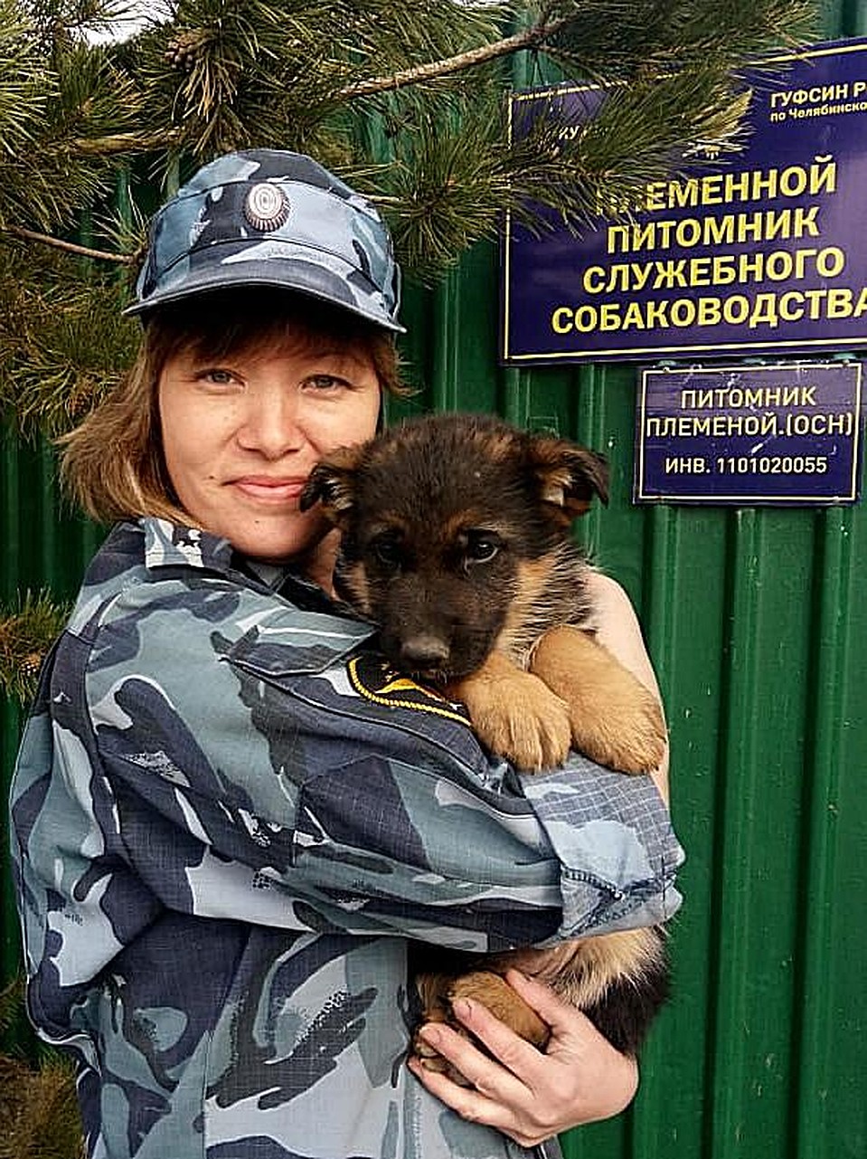 Больше, чем напарники: в День кинолога знакомимся с собаками челябинского  ГУФСИН | 21.06.2020 | Челябинск - БезФормата